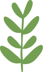 Union Depictied using plant